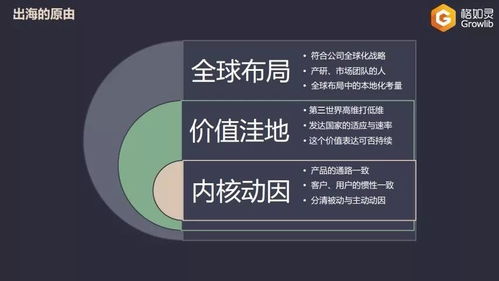 映魅咨詢 教育出海 沙龍 格如靈創(chuàng)始人張琨 不是所有技術(shù)產(chǎn)品型教育公司都適合出海,會遇到哪些坑